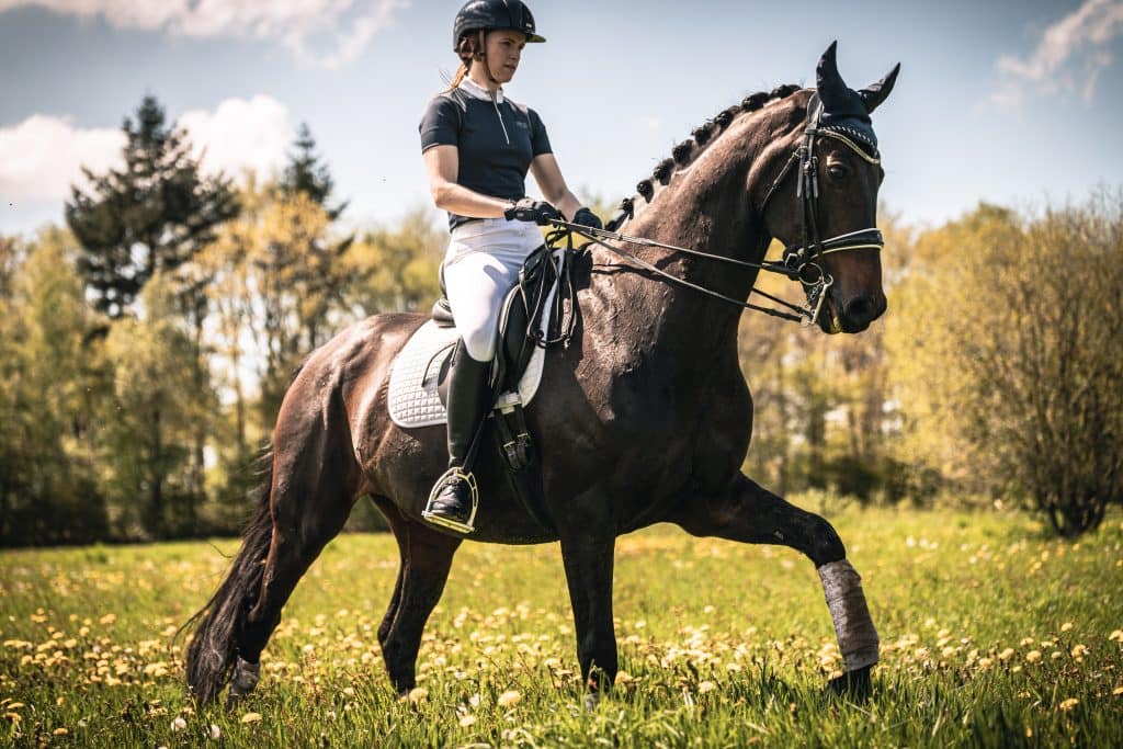 Paardrijden en afvallen Hoeveel calorieën verbrand je met paardrijden?