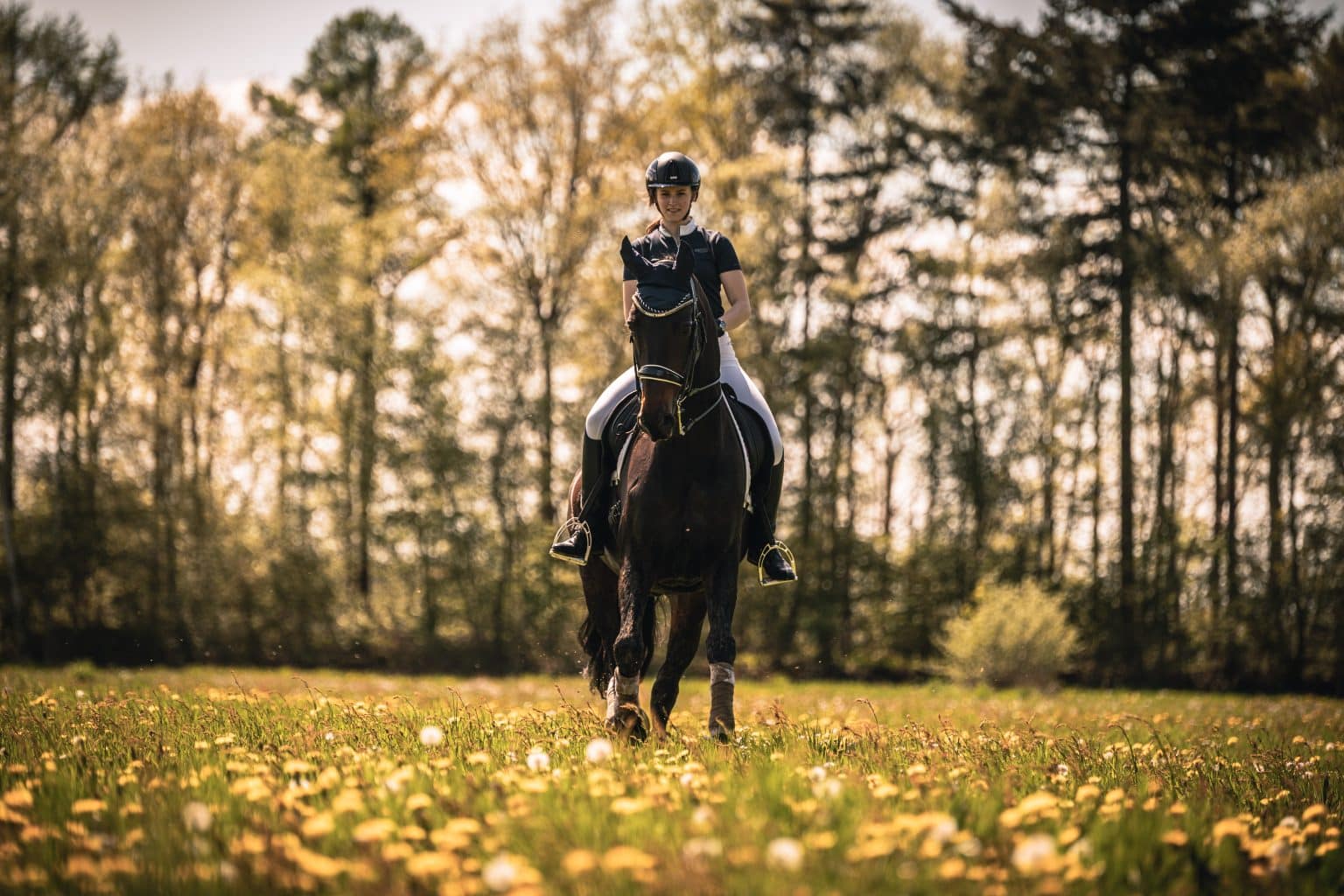 Welke spieren train je met paardrijden? Waarom is paardrijden goed?